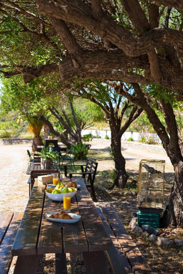 Tselios Apartments & Studios Kiotari Dış mekan fotoğraf